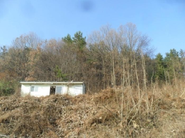 충청남도 태안군 이원면 내리 산166-3 임야 경매 사진 6