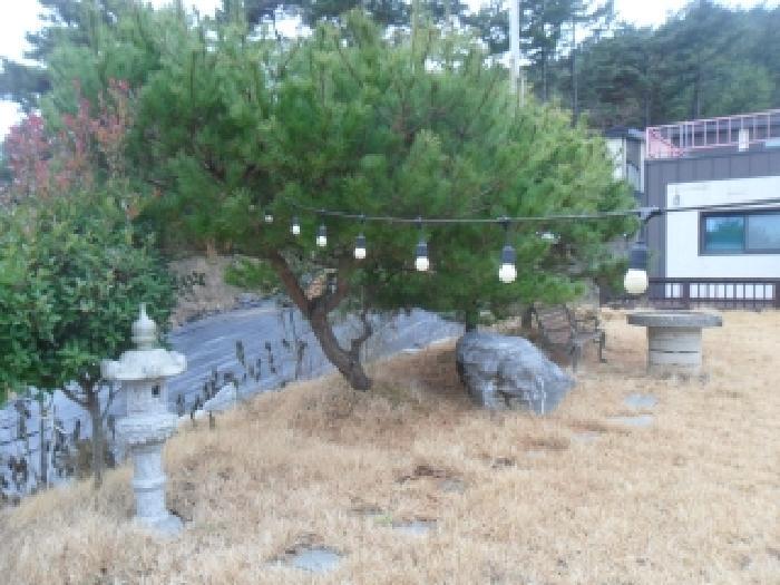 충청남도 태안군 근흥면 정죽리 677-15 주택 경매 사진 18