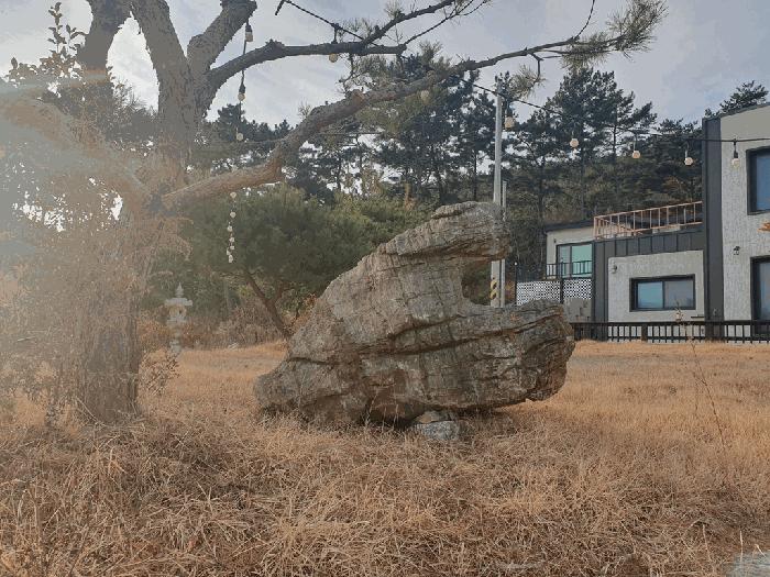 충청남도 태안군 근흥면 정죽리 677-15 주택 경매 사진 4