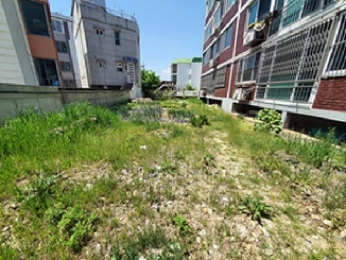 경상남도 창원시 진해구 자은동 314-7 답 경매 사진 5