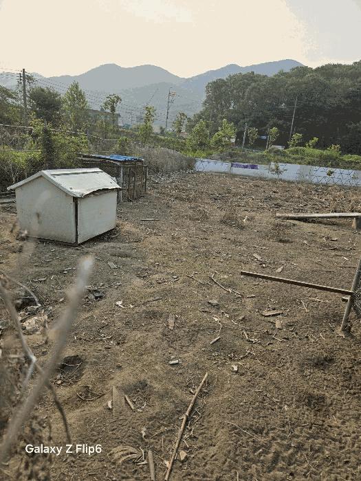 경상남도 김해시 상동면 대감리 977-6 답 경매 사진 10