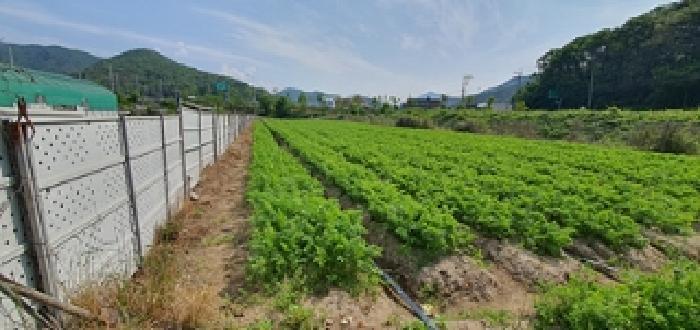 경상남도 김해시 상동면 대감리 977-6 답 경매 사진 18