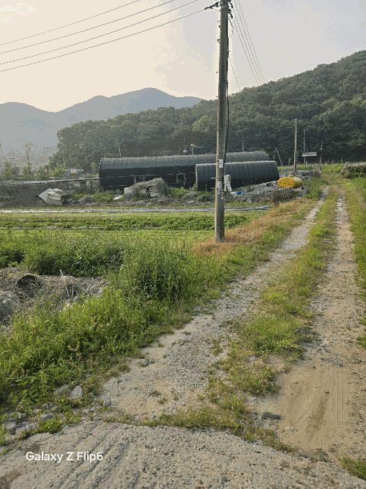 경상남도 김해시 상동면 대감리 977-6 답 경매 사진 2