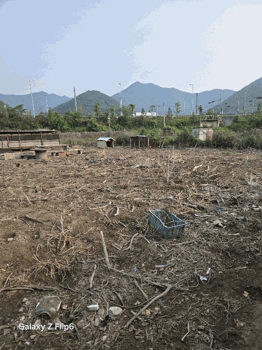 경상남도 김해시 상동면 대감리 977-6 답 경매 사진 5