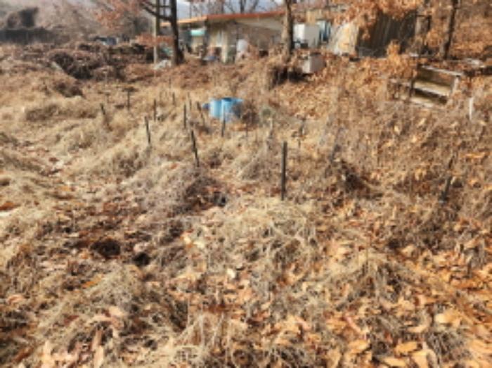 인천광역시 강화군 삼산면 석모리 306-1 전 경매 사진 13