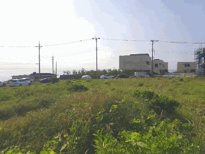 제주특별자치도 제주시 애월읍 애월리 2556 전 경매 사진 3