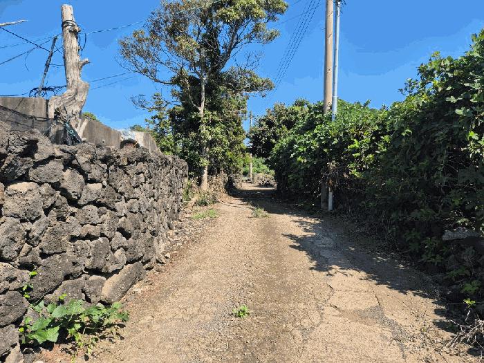 제주특별자치도 제주시 한경면 청수리 1653 주택 경매 사진 15