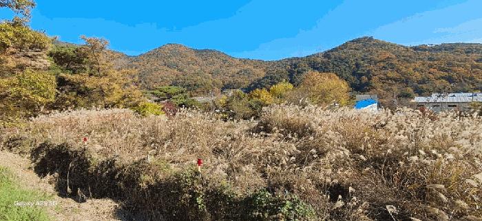 경상남도 양산시 평산동 955 답 경매 사진 1