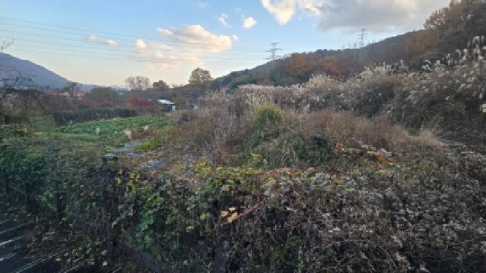 경상남도 양산시 평산동 955 답 경매 사진 17