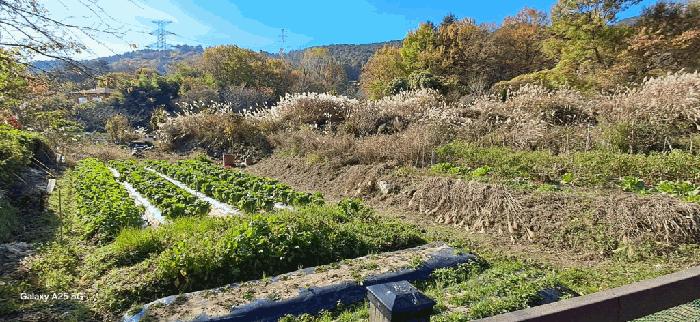 경상남도 양산시 평산동 955 답 경매 사진 4