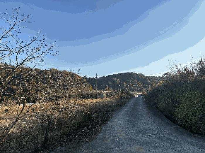 울산광역시 울주군 삼남읍 상천리 163 임야 경매 사진 10