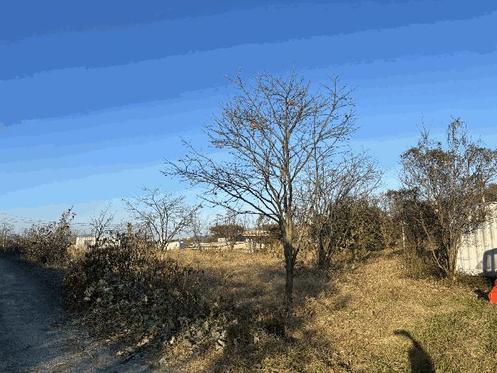 울산광역시 울주군 삼남읍 상천리 163 임야 경매 사진 4