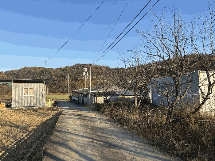 울산광역시 울주군 삼남읍 상천리 163 임야 경매 사진 5
