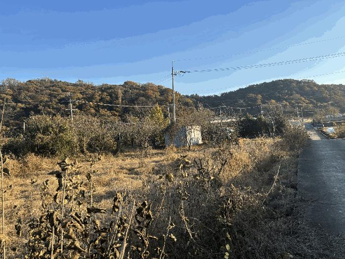 울산광역시 울주군 삼남읍 상천리 163 임야 경매 사진 9