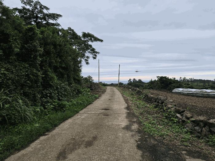 제주특별자치도 제주시 한림읍 상대리 1891 전 경매 사진 7