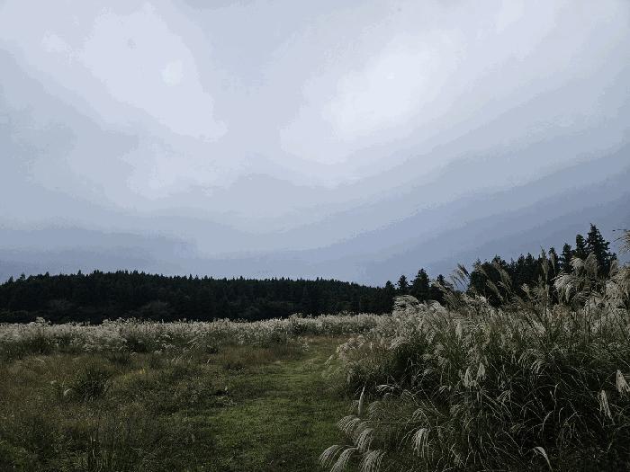 제주시 임야