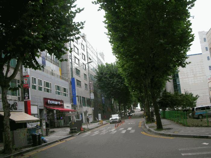 인천광역시 남동구 구월동 1451-1 뉴다인 3층301호 다세대(빌라) 경매 사진 1