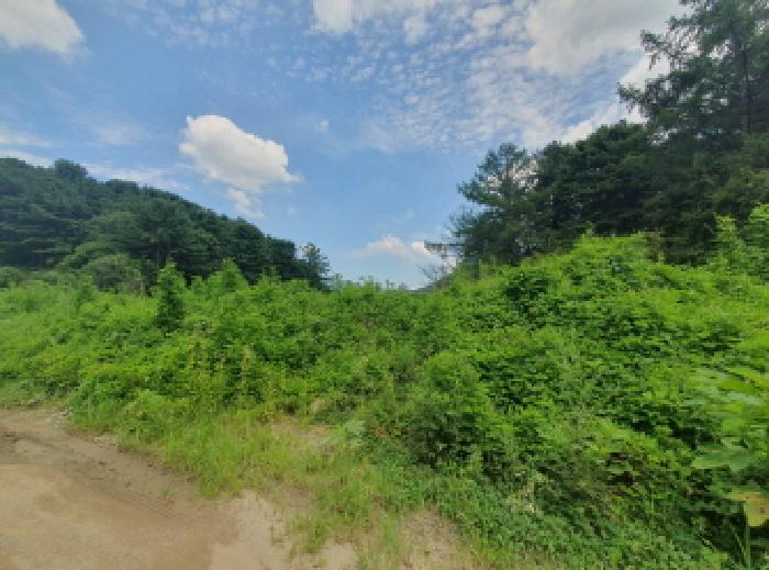 경기도 가평군 상면 임초리 557 전 경매 사진 11