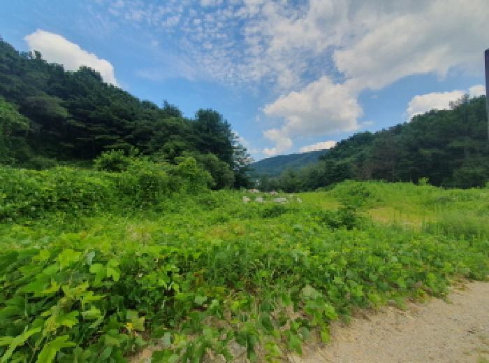 경기도 가평군 상면 임초리 557 전 경매 사진 7