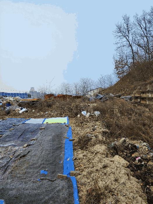 충청북도 청주시 청원구 내수읍 도원리 산39-1 임야 경매 사진 10
