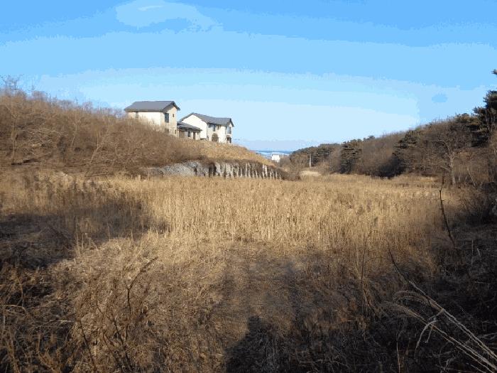 강원특별자치도 양양군 강현면 정암리 324 답 경매 사진 14