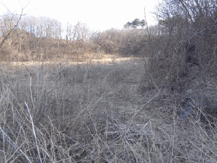 강원특별자치도 양양군 강현면 정암리 324 답 경매 사진 6