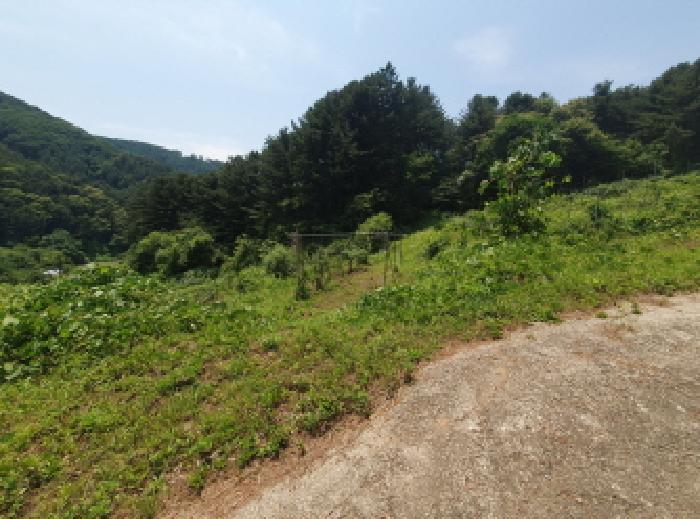 경기도 가평군 설악면 설곡리 183-5 대지 경매 사진 15