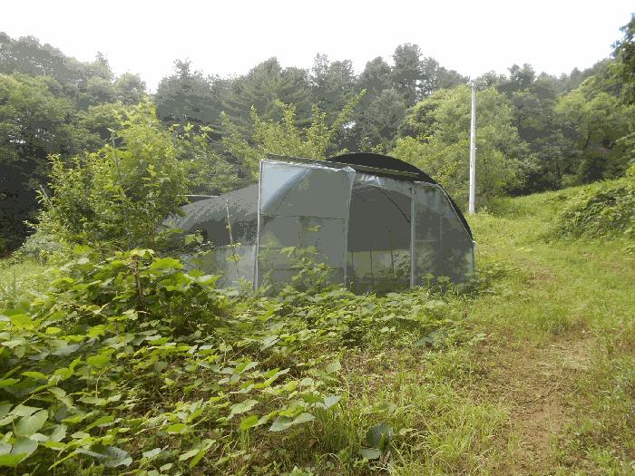 경기도 가평군 설악면 설곡리 183-5 대지 경매 사진 6