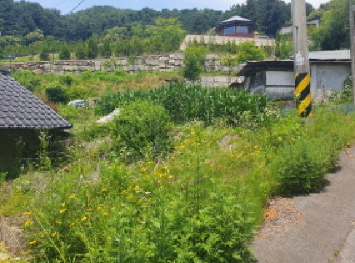 경기도 가평군 설악면 설곡리 183-5 대지 경매 사진 9