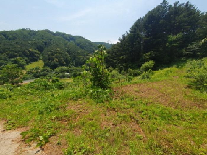 경기도 가평군 설악면 설곡리 193 전 경매 사진 14