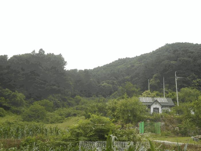 경기도 가평군 설악면 설곡리 193 전 경매 사진 5