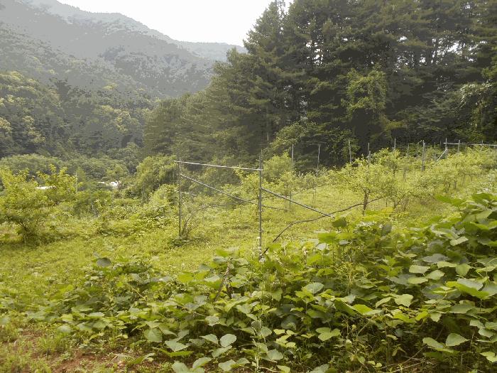 경기도 가평군 설악면 설곡리 193 전 경매 사진 7