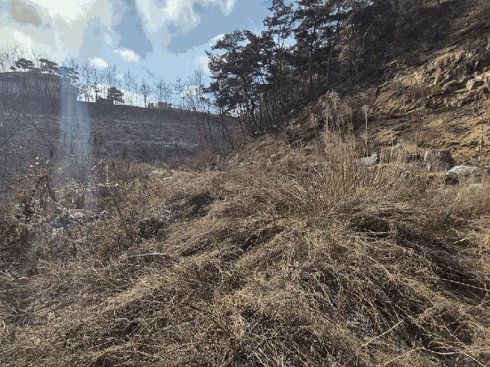 충청북도 청주시 상당구 문의면 남계리 산68 임야 경매 사진 2