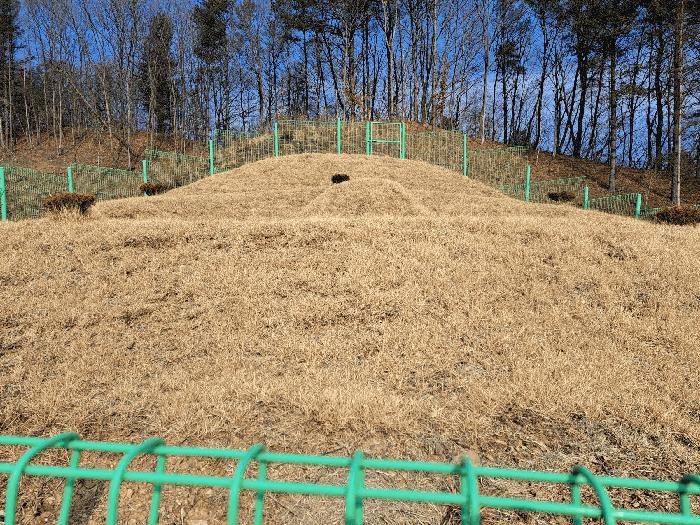 충청북도 청주시 상당구 미원면 운용리 산15 임야 경매 사진 10