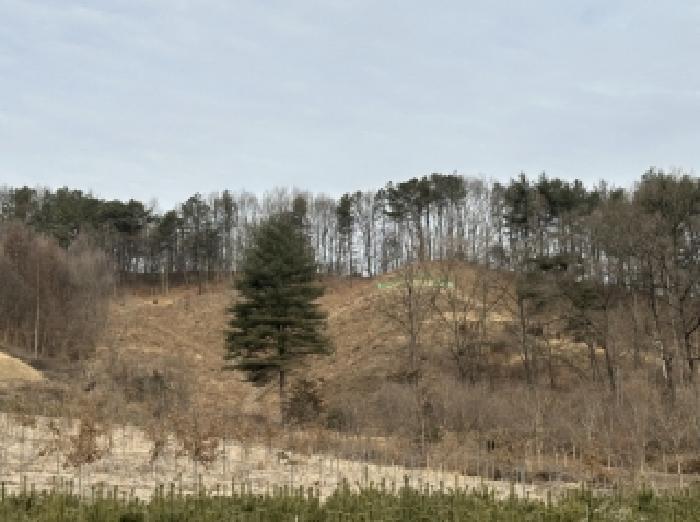 충청북도 청주시 상당구 미원면 운용리 산15 임야 경매 사진 13