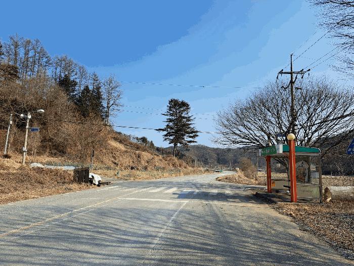 충청북도 청주시 상당구 미원면 운용리 산15 임야 경매 사진 3