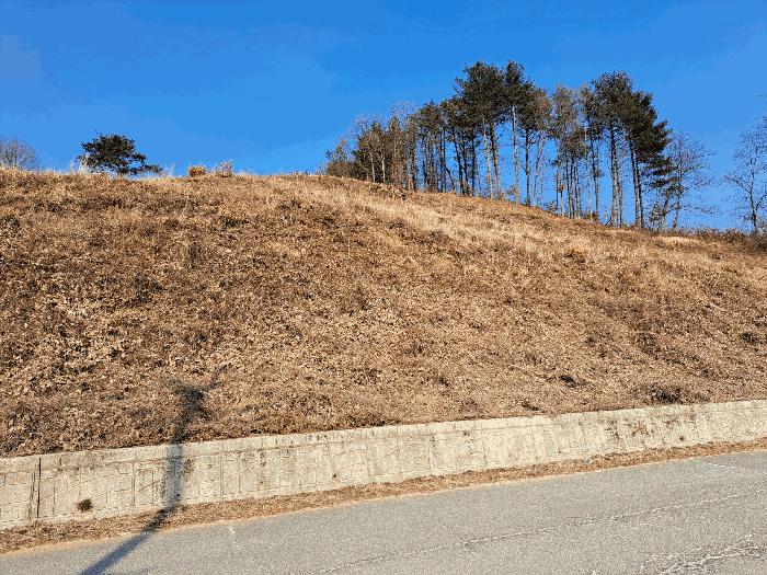 충청북도 청주시 상당구 미원면 운용리 산15 임야 경매 사진 4