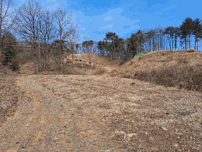 충청북도 청주시 상당구 미원면 운용리 산15 임야 경매 사진 6