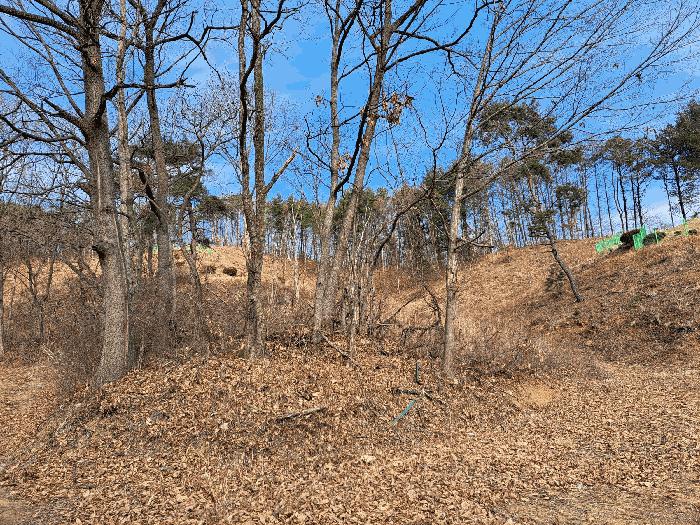 충청북도 청주시 상당구 미원면 운용리 산15 임야 경매 사진 7