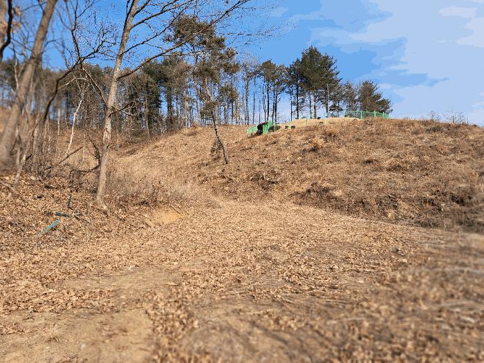 충청북도 청주시 상당구 미원면 운용리 산15 임야 경매 사진 8