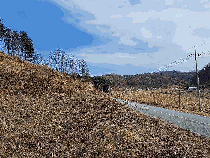 충청북도 청주시 상당구 미원면 운용리 산15 임야 경매 사진 9
