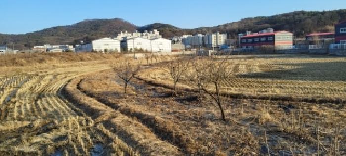 경기도 고양시 덕양구 내유동 234-1 답 경매 사진 12