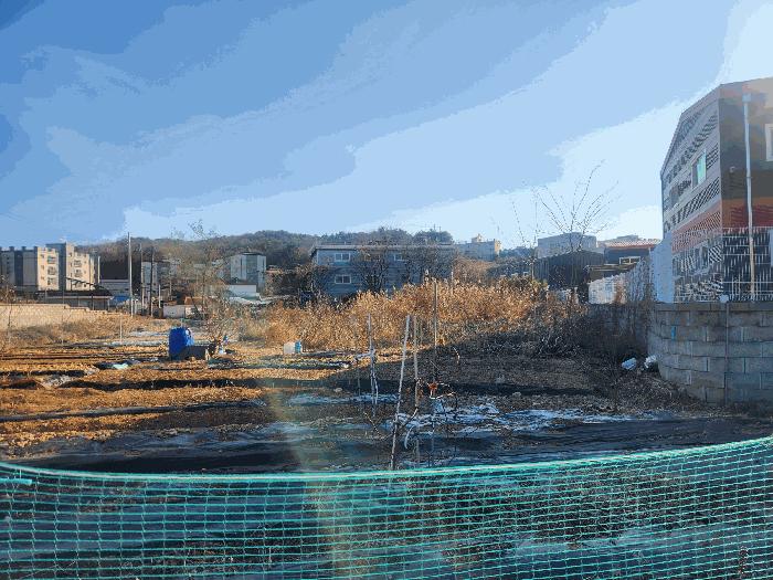경기도 고양시 덕양구 내유동 234-1 답 경매 사진 2