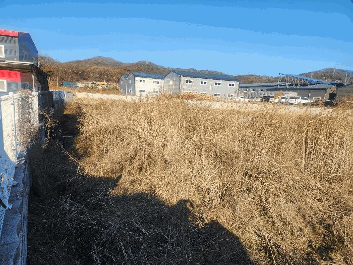 경기도 고양시 덕양구 내유동 234-1 답 경매 사진 4