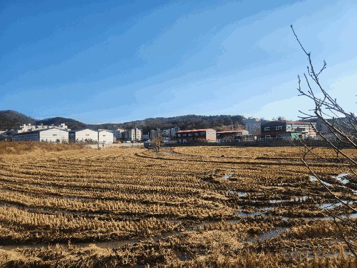 경기도 고양시 덕양구 내유동 234-1 답 경매 사진 6
