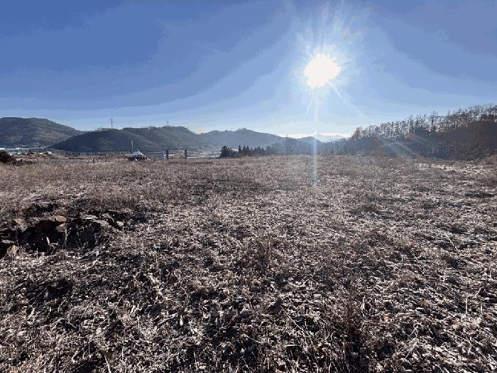 충청북도 괴산군 소수면 수리 569-2 임야 경매 사진 2
