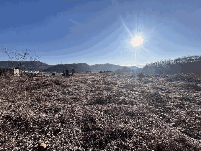충청북도 괴산군 소수면 수리 569-2 임야 경매 사진 6