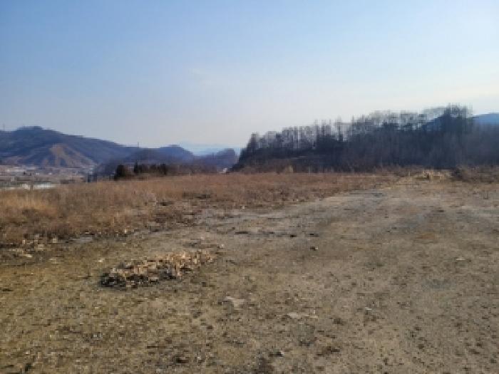 충청북도 괴산군 소수면 입암리 639-2 임야 경매 사진 12