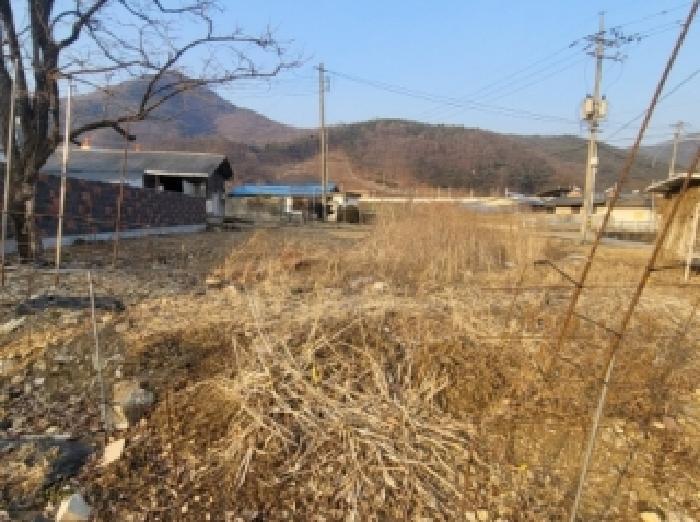 충청북도 괴산군 연풍면 원풍리 468-4 대지 경매 사진 7