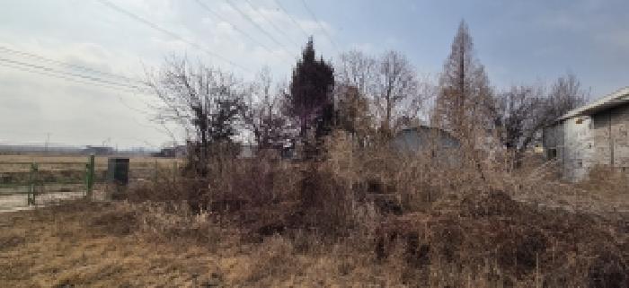경기도 고양시 일산서구 구산동 1693-1 창고 경매 사진 19